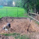 Cooper standing in the excavated area